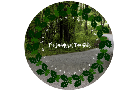 the-journey-of-two-girls-blog-button 3